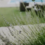 Laurus Βίλα Buje